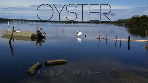 Read more about the article Oyster premieres twice in one day